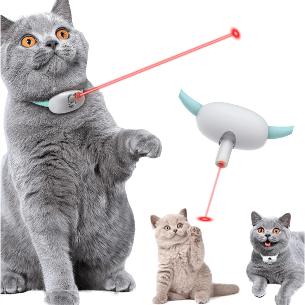 Pet Smart Cat collare Laser giocattoli per gatti puntatore Laser  ricaricabile interattivo giocattolo per esercizi per gatti accessori per  collana Laser per gatti - AliExpress