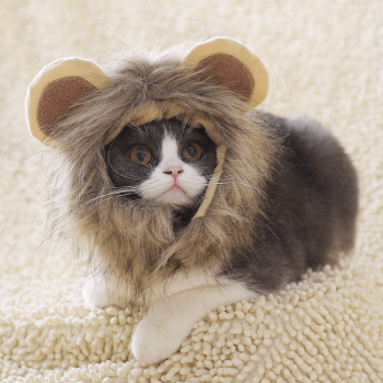 Costume criniera "Leone" per gatti