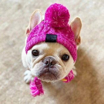 Berretto per cani con PonPon  in lana rosa 