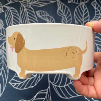 Ciotola in ceramica per cani e gatti